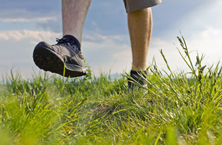 walking-healthy2